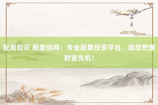 配资知识 股壹佰网：专业股票投资平台，助您把握财富先机！