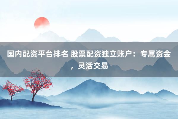 国内配资平台排名 股票配资独立账户：专属资金，灵活交易