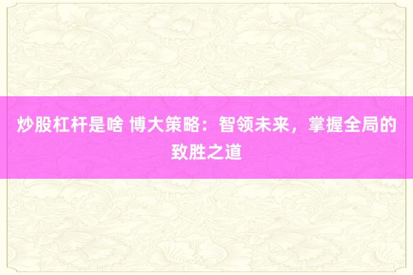 炒股杠杆是啥 博大策略：智领未来，掌握全局的致胜之道