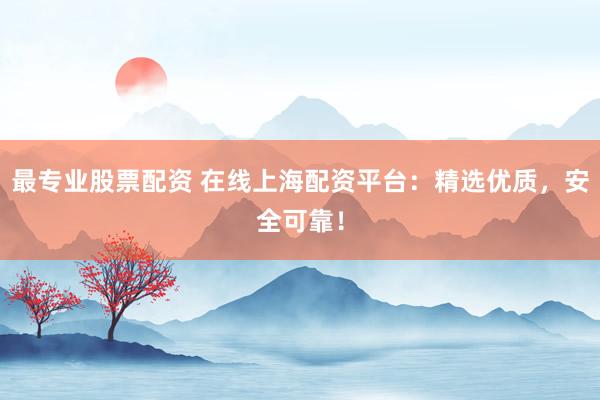 最专业股票配资 在线上海配资平台：精选优质，安全可靠！