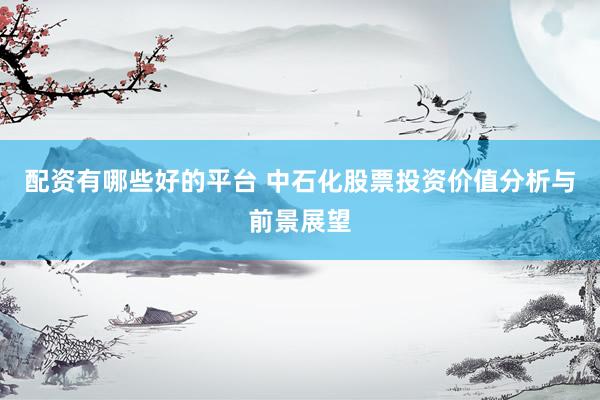 配资有哪些好的平台 中石化股票投资价值分析与前景展望
