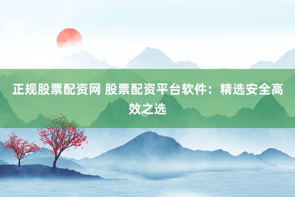正规股票配资网 股票配资平台软件:精选安全高效之选