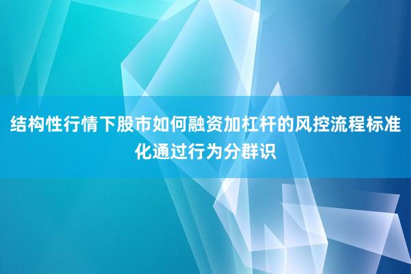 结构性行情下股市如何融资加杠杆的风控流程标准化通过行为分群识