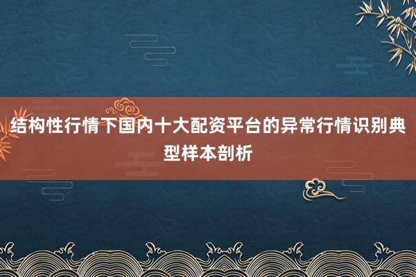 结构性行情下国内十大配资平台的异常行情识别典型样本剖析