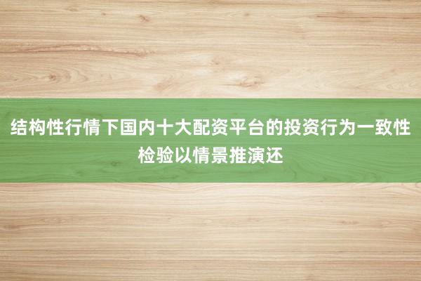 结构性行情下国内十大配资平台的投资行为一致性检验以情景推演还
