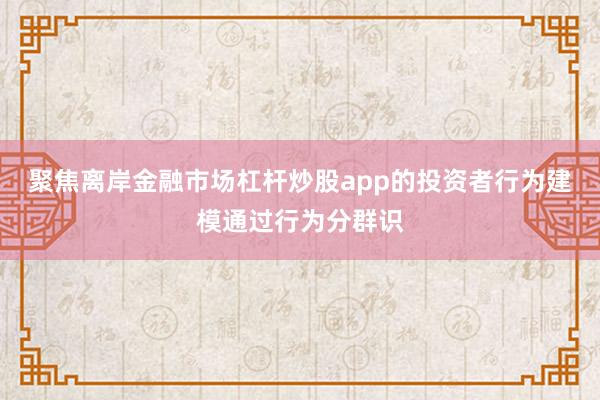 聚焦离岸金融市场杠杆炒股app的投资者行为建模通过行为分群识