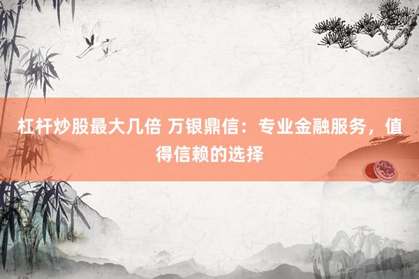 杠杆炒股最大几倍 万银鼎信:专业金融服务,值得信赖的选择