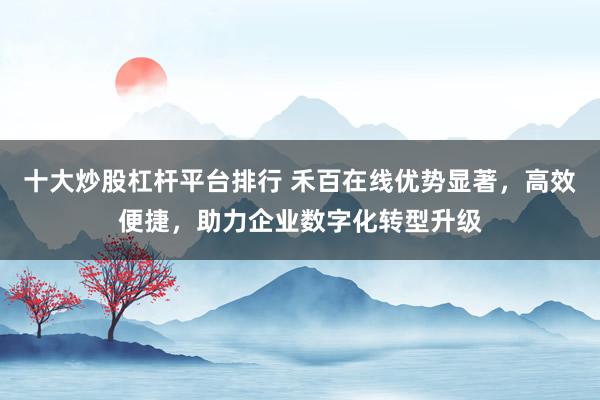 十大炒股杠杆平台排行 禾百在线优势显著，高效便捷，助力企业数字化转型升级