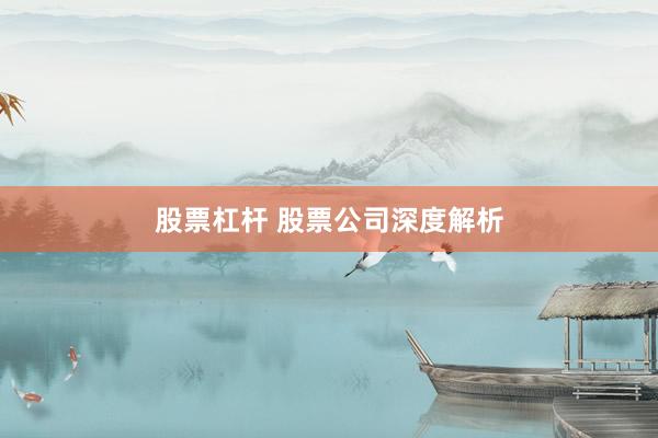 股票杠杆 股票公司深度解析